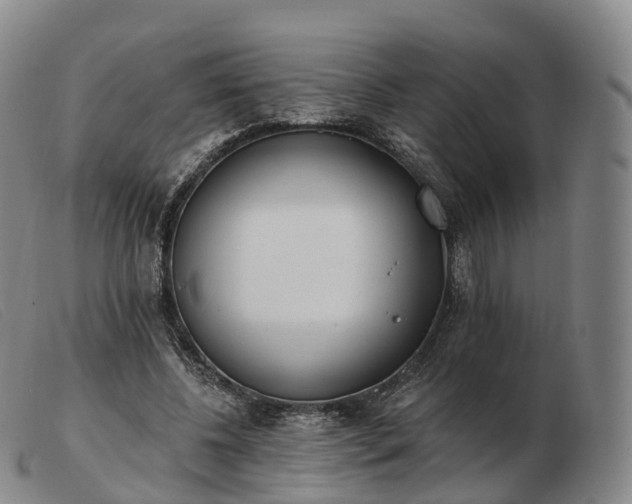 X0000103460540200809191814