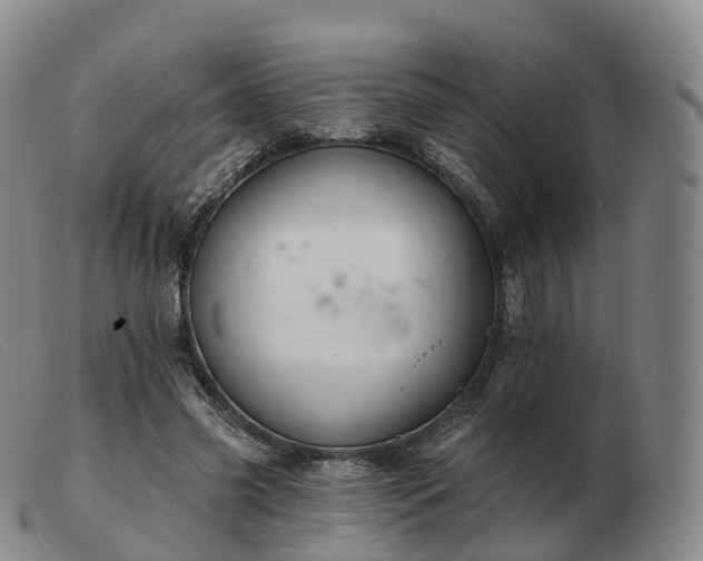 X0000103460541200809191814