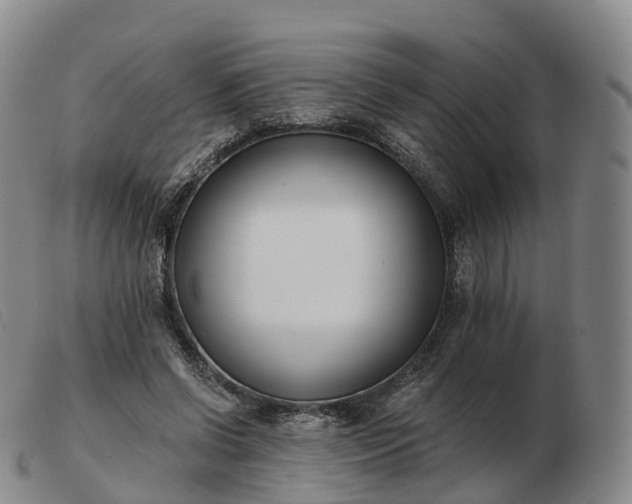 X0000103460542200809191814