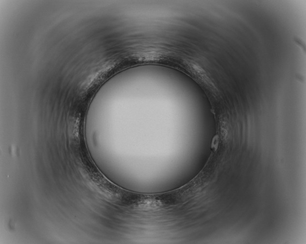 X0000103460543200809191814