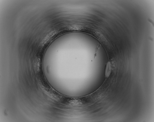X0000103460544200809191814