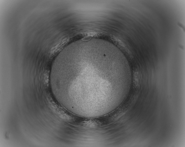 X0000103460545200809191814