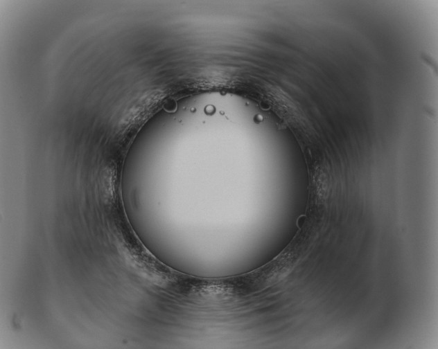 X0000103460546200809191814