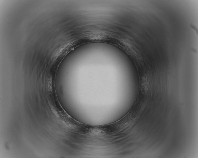 X0000103460547200809191814