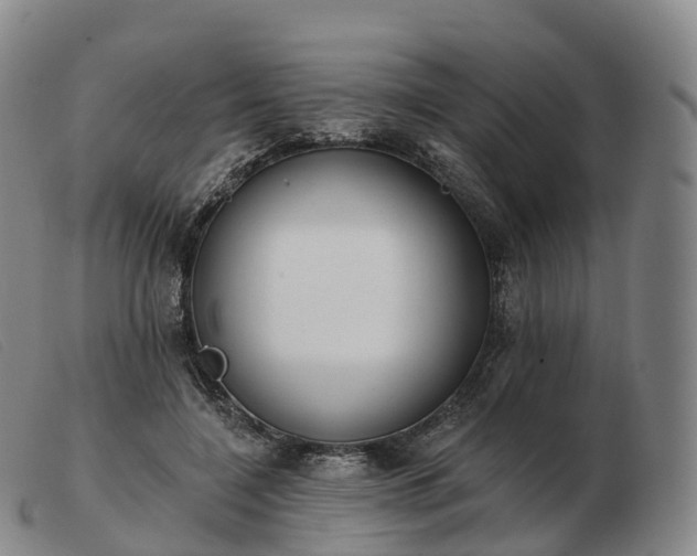 X0000103460548200809191814
