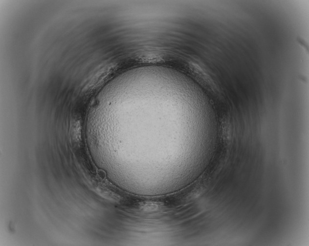 X0000103460549200809191814