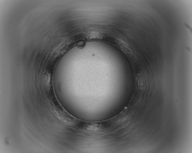 X0000103460550200809191814
