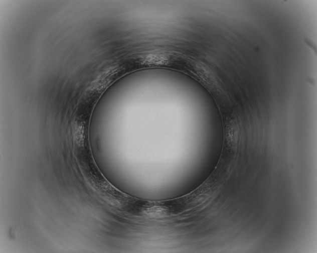 X0000103460551200809191814