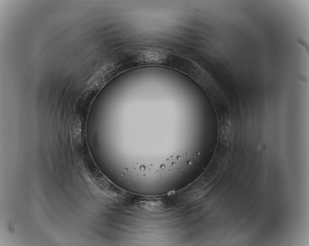 X0000103460552200809191814