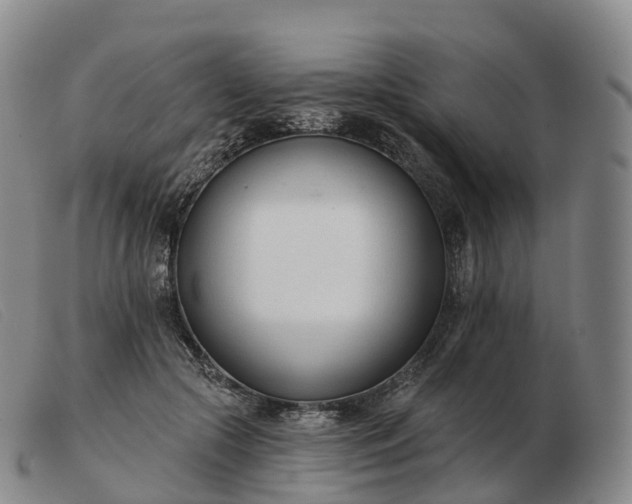 X0000103460553200809191814