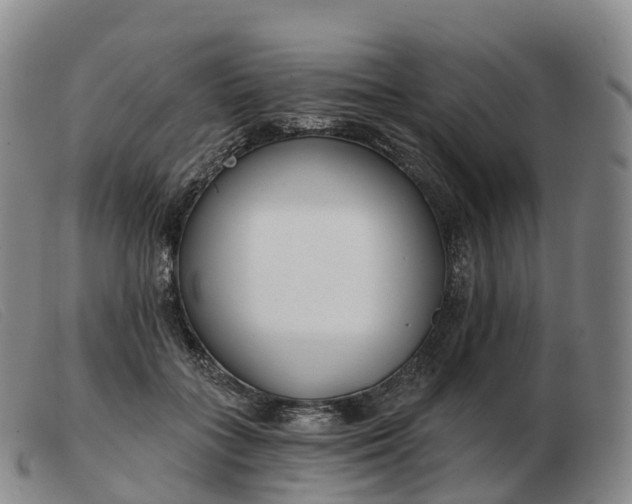 X0000103460555200809191814