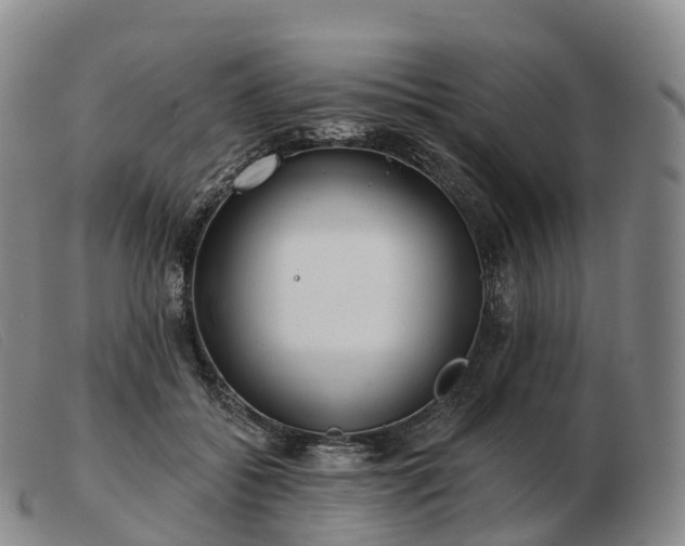 X0000103460556200809191814
