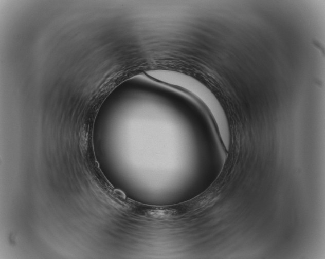 X0000103460558200809191814