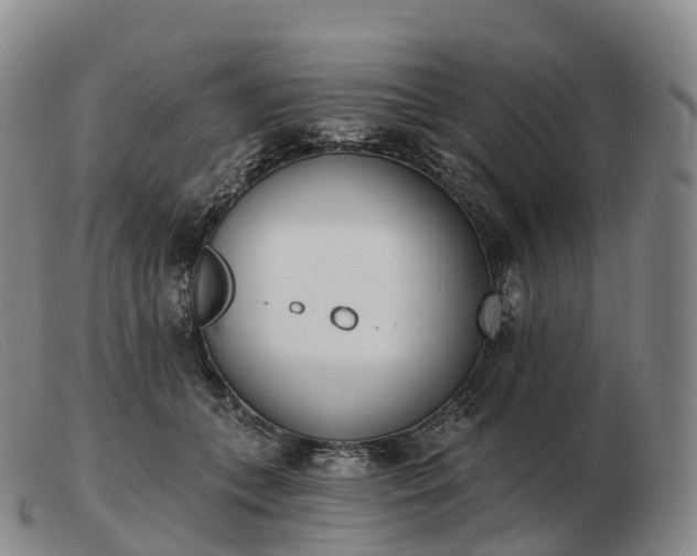 X0000103460559200809191814