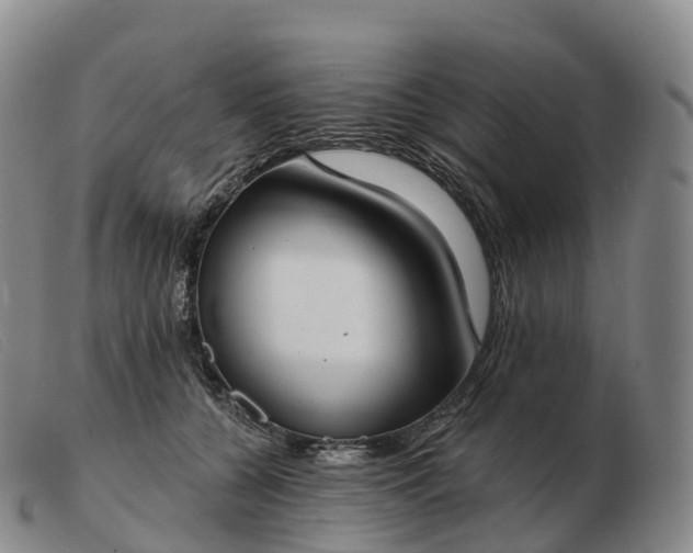 X0000103460560200809191814