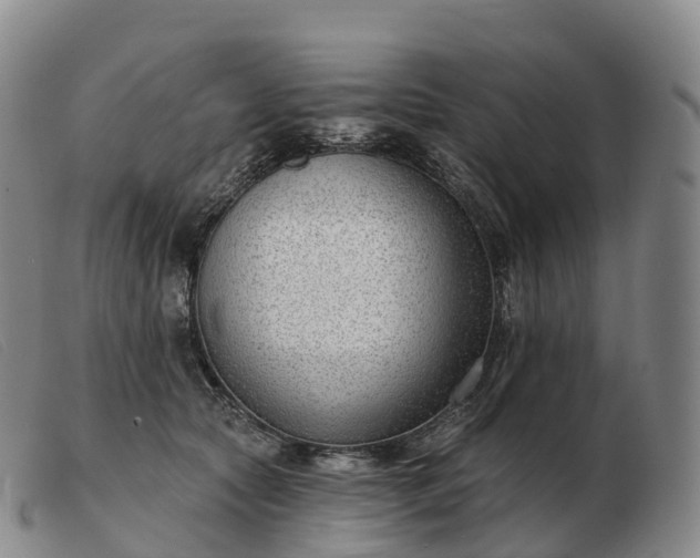 X0000103460561200809191814
