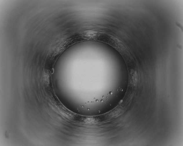 X0000103460562200809191814