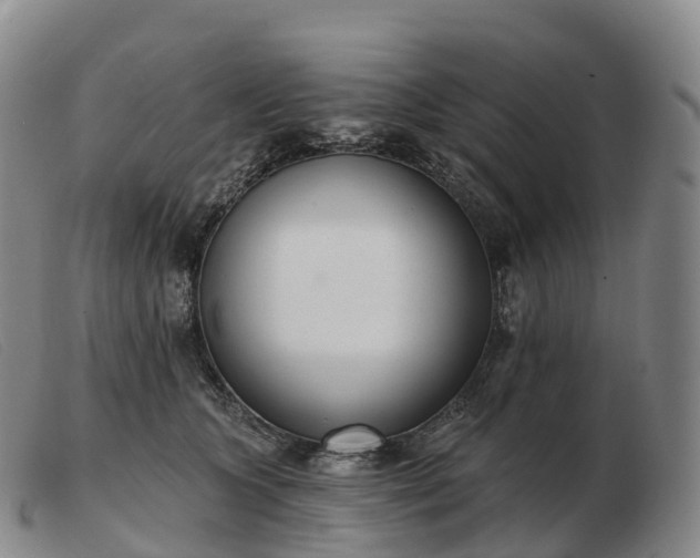 X0000103460563200809191814