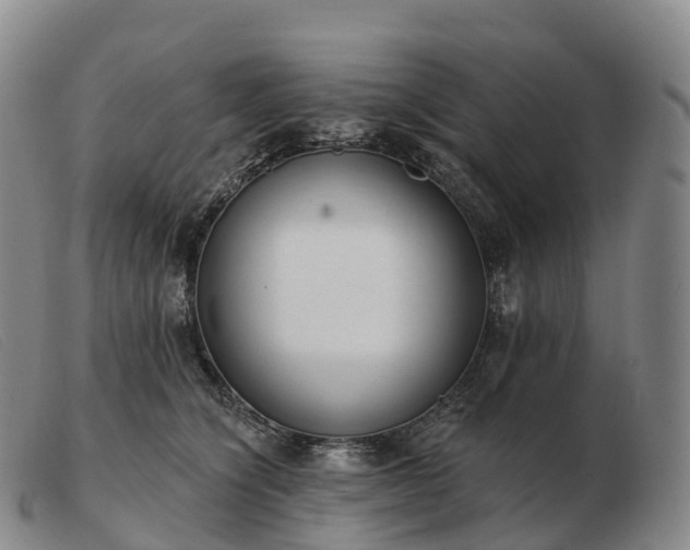 X0000103460564200809191814