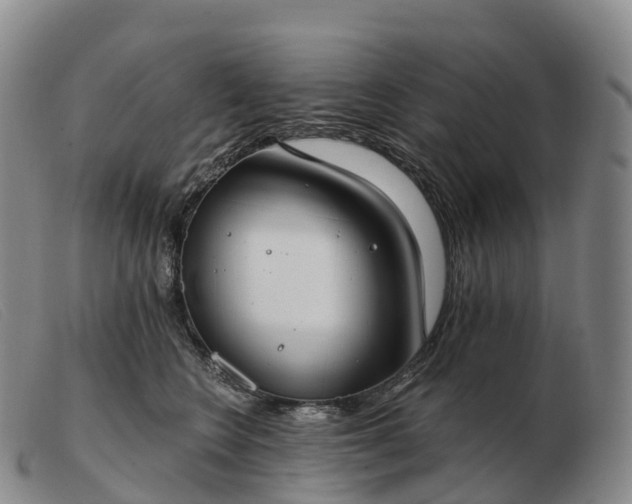 X0000103460566200809191814