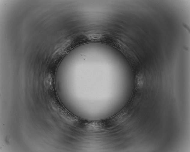 X0000103460567200809191814
