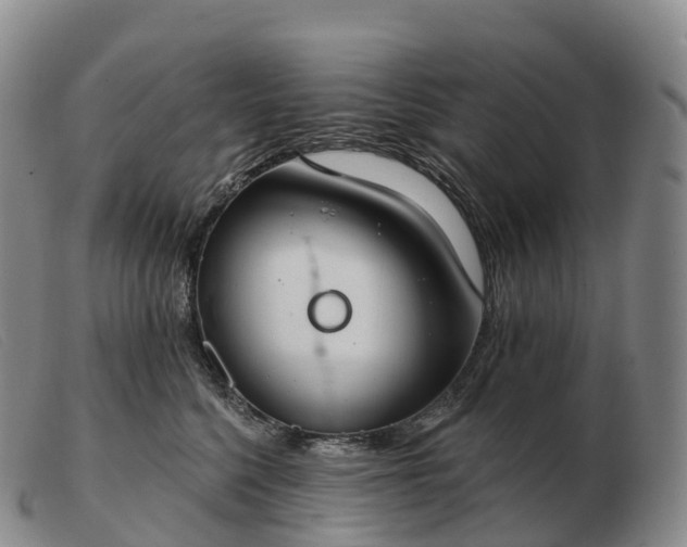 X0000103460568200809191814