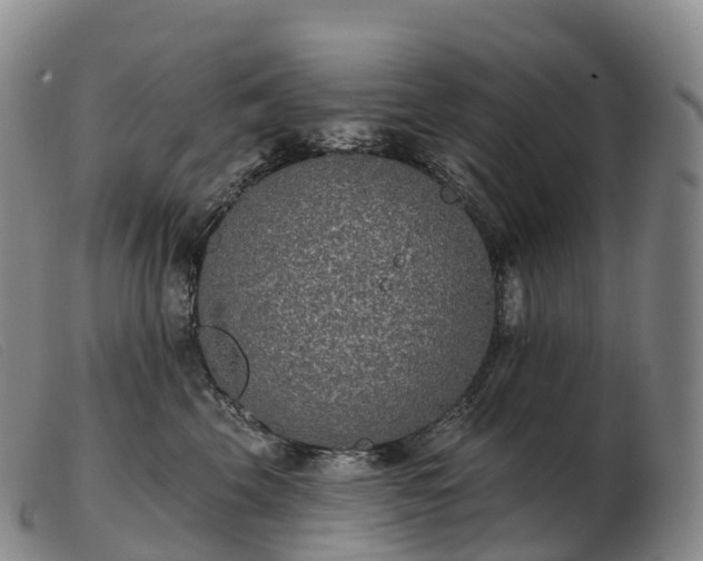 X0000103460569200809191814