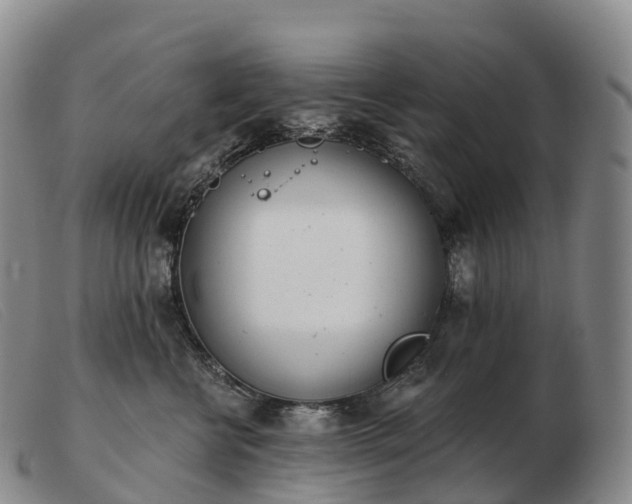 X0000103460570200809191814