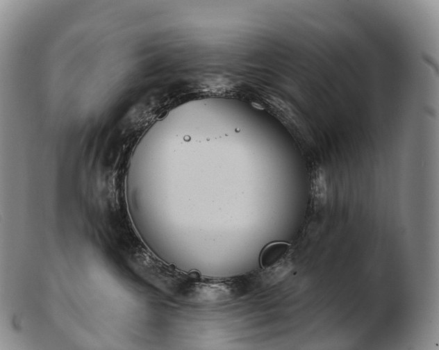 X0000103460572200809191814