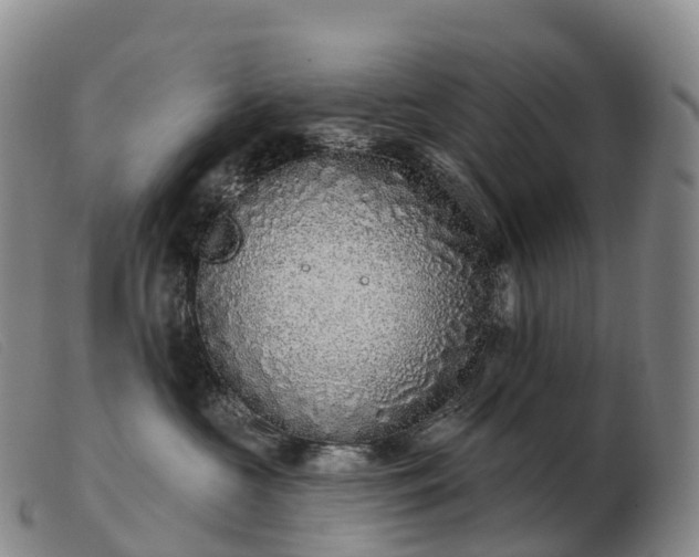 X0000103460573200809191815