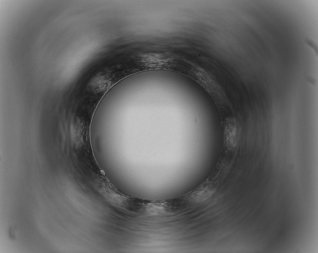 X0000103460574200809191815