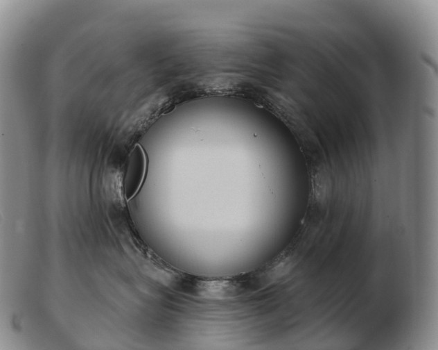 X0000103460575200809191815