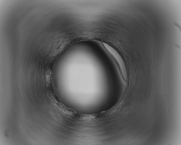 X0000103460576200809191815