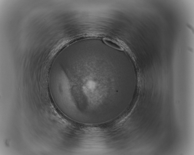 X0000103460577200809191814
