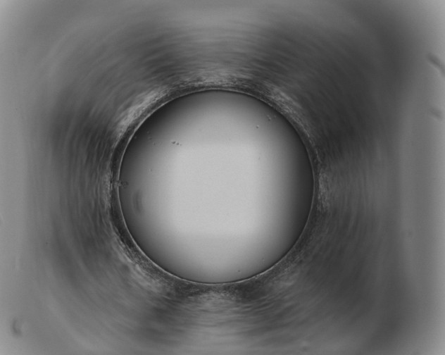 X0000103460578200809191814