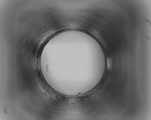X0000103460579200809191814