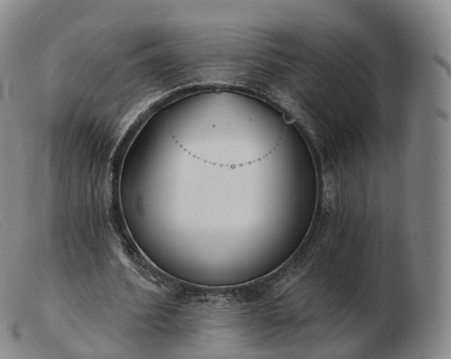 X0000103460580200809191814