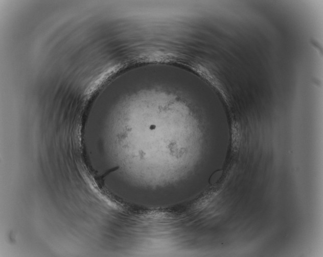 X0000103460581200809191814