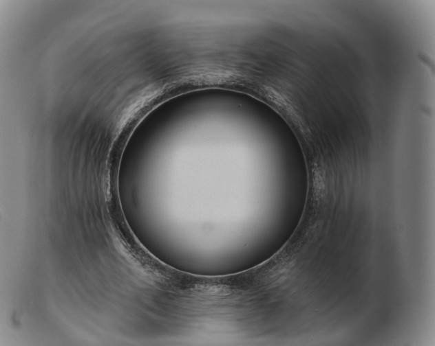 X0000103460582200809191814