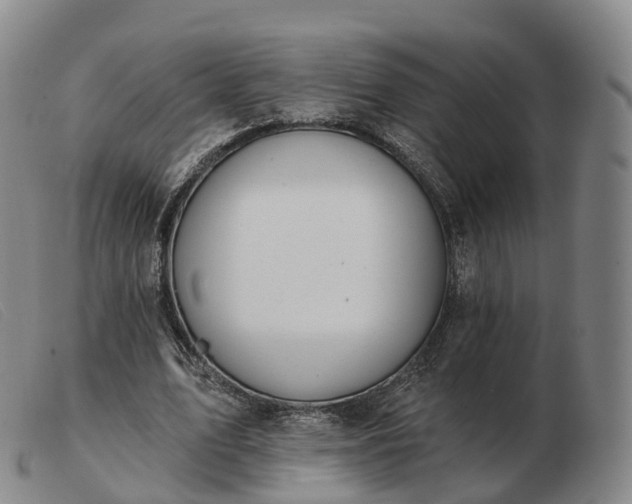 X0000103460583200809191814