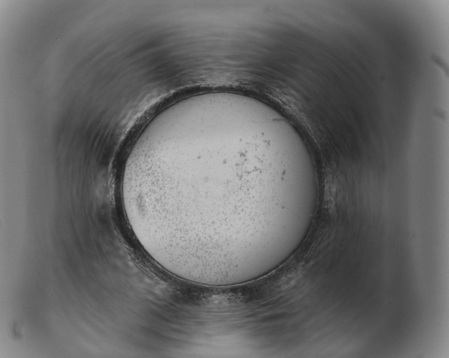 X0000103460584200809191814