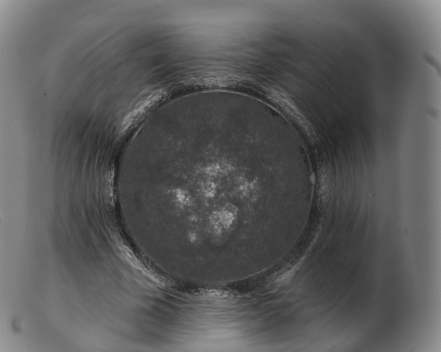 X0000103460585200809191814