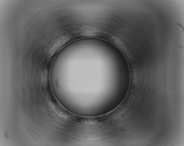 X0000103460586200809191814