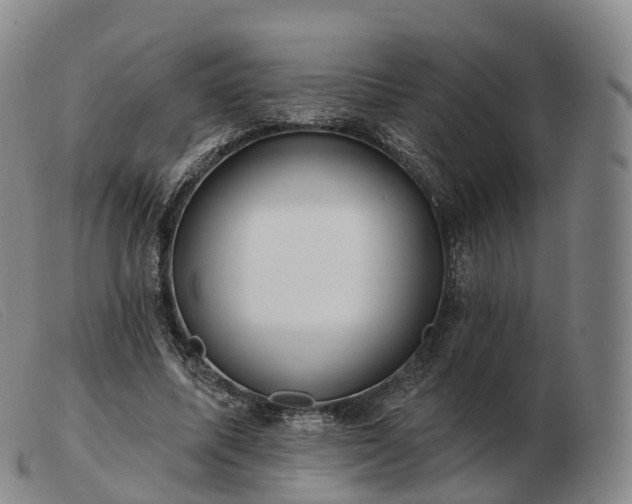 X0000103460587200809191814