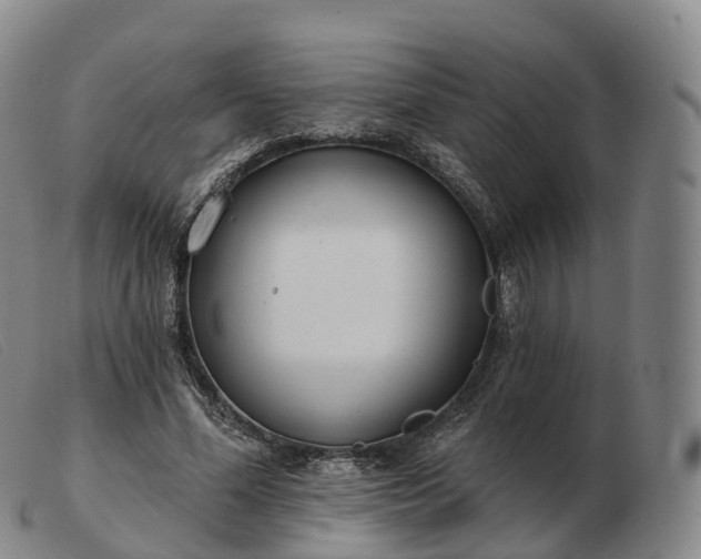 X0000103460588200809191814