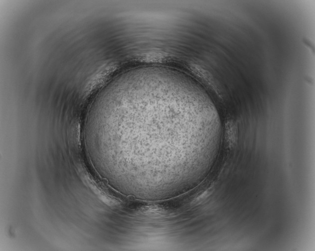 X0000103460589200809191814