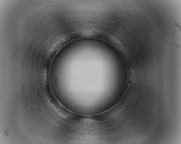 X0000103460590200809191814