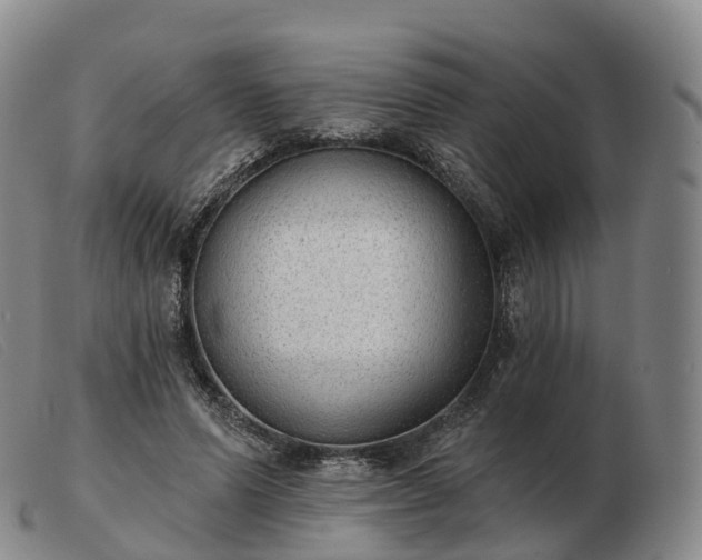 X0000103460591200809191814