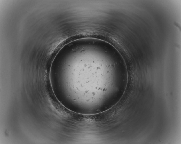 X0000103460592200809191814