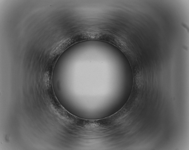 X0000103460594200809191813